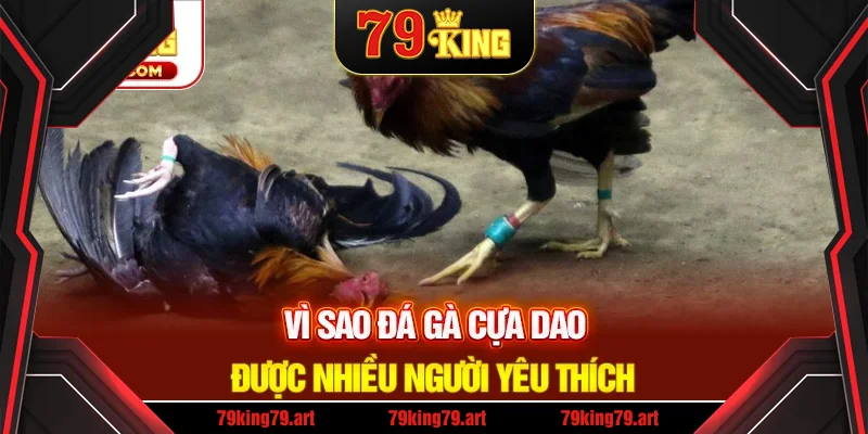 Lý do bộ môn này được nhiều người yêu thích