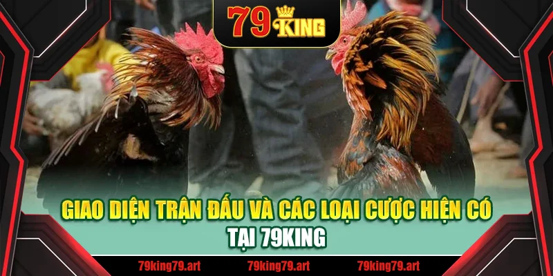 Giao diện trận đấu và các loại cược hiện có tại 79King
