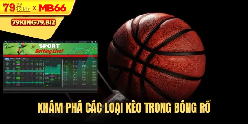 Khám phá các loại kèo cược bóng rổ hot hiện nay